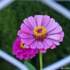 1E3A9C74-45EA-4481-99C6-6780A944C94B