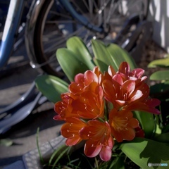 98BB24BE-8C6D-4A2F-B75C-96CCA1474C15