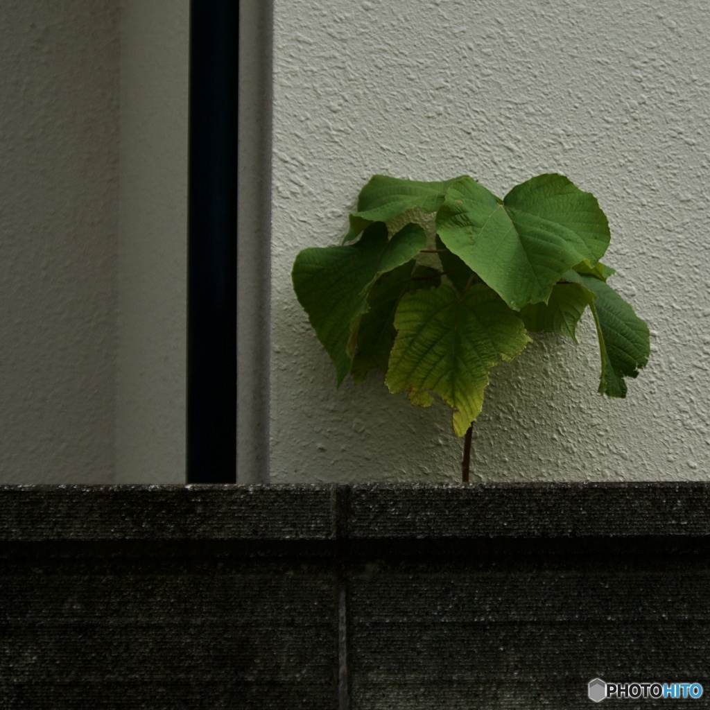 D53A81E3-6C54-4AC6-BDE8-D739B0B9D6C6