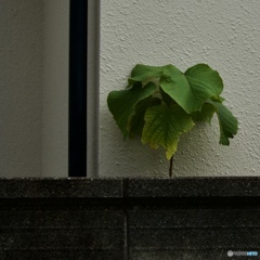 D53A81E3-6C54-4AC6-BDE8-D739B0B9D6C6