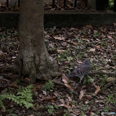 E3CEF209-A3B5-404A-AC7A-0F9B1132CEA8