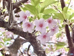 34EDBCB2-2686-4B38-AF4C-D7CD30AB22D4