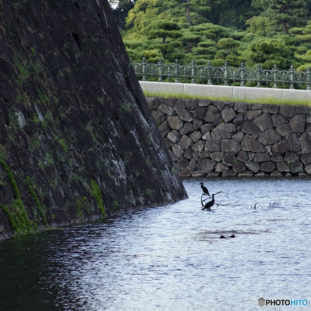 47898AA9-7099-46A8-A33C-CB847E6BE401