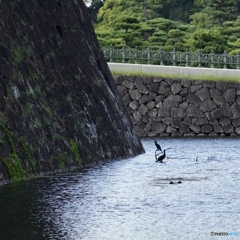 47898AA9-7099-46A8-A33C-CB847E6BE401