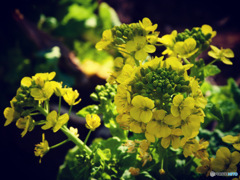 D7AE20F3-6AEE-41E5-A3D8-A688197FC2E2