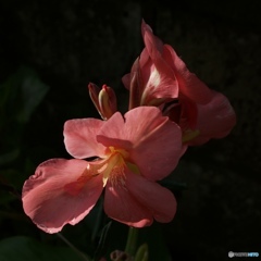 D04763B0-4B5B-45C5-AFFA-2294AC85A995