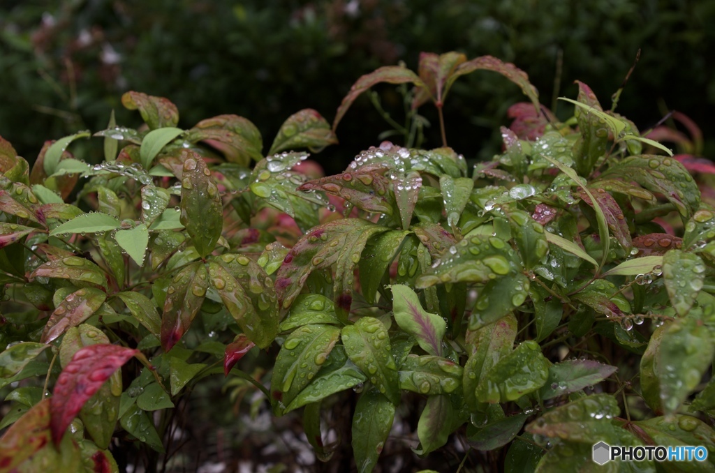 8F5BC146-96AA-42DD-892A-B72F90C44B1F