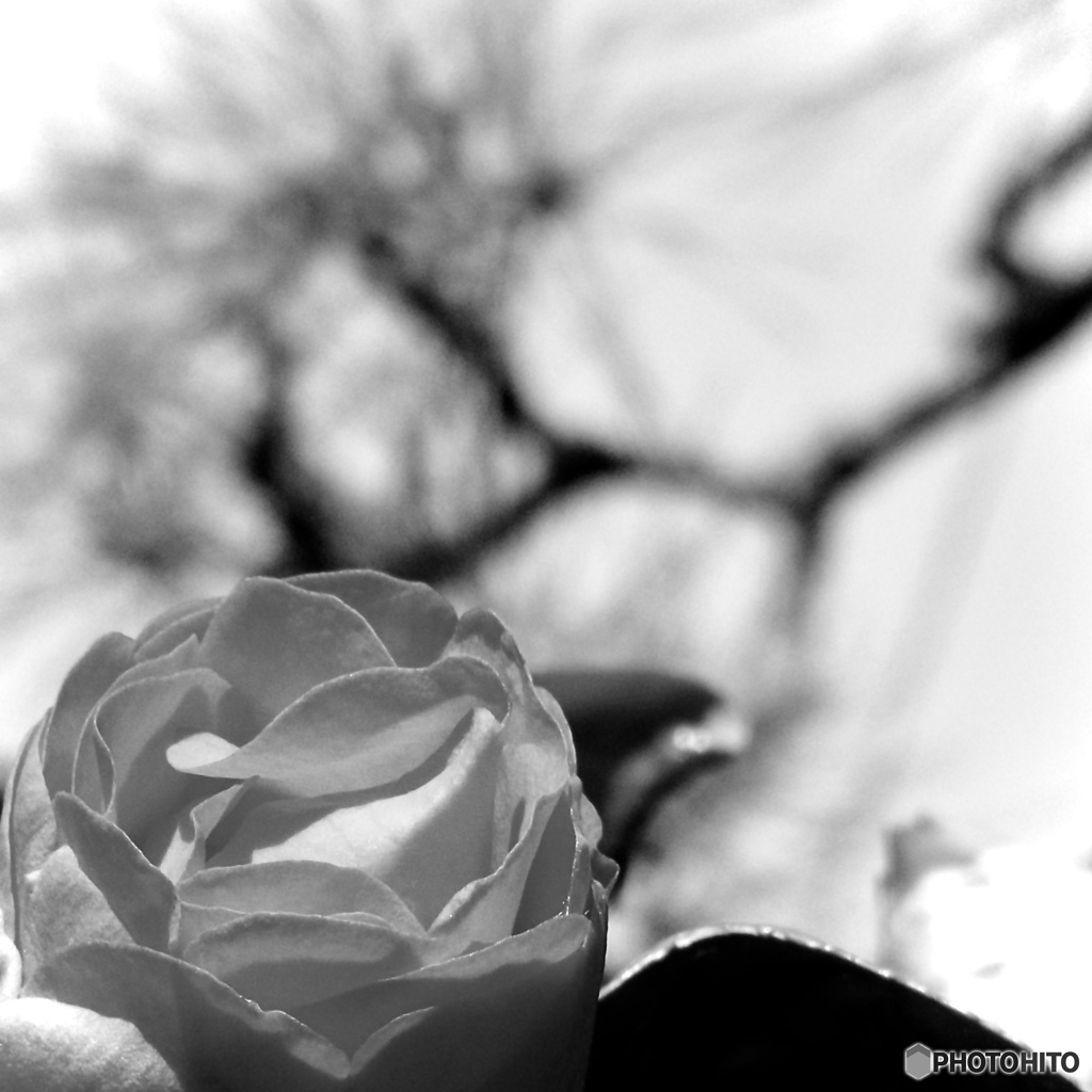 F43B4961-053A-4D9D-A00E-12054A19FF30
