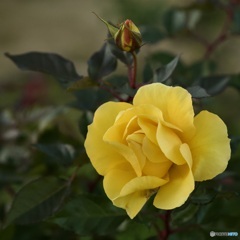 D2C3B3FF-EFA0-4FEA-B0CC-4BBE8B36B850