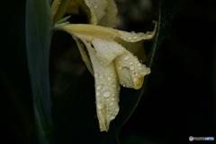 B44EFF4B-C159-46B0-9DD6-BB7AD2E2A62E