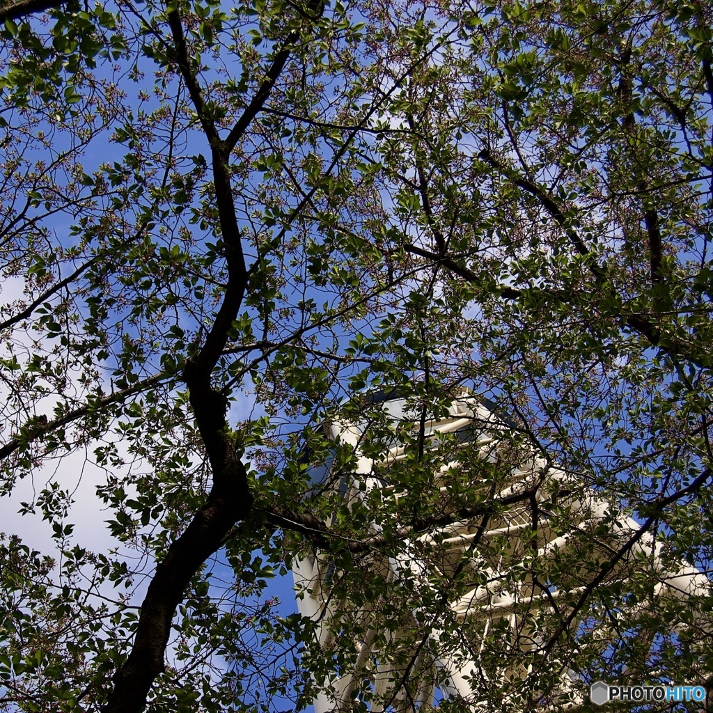 AABD909F-93FD-4BEF-B98C-3991E62C1799