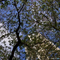 AABD909F-93FD-4BEF-B98C-3991E62C1799