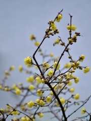 141CA636-9C95-4A8A-AA1D-A51325FCCD6F