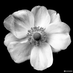 DA1469A0-9E22-4A56-A495-C630CDDB5134