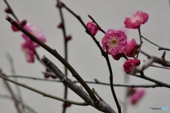 E12BFD13-918A-4661-B572-2B85BC1C7E18