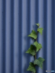 2D353B16-BB4B-4FE5-9D8F-6300571E24D9