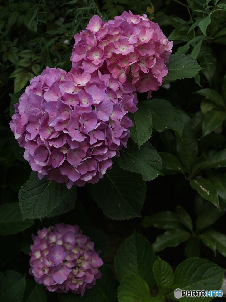 _IGP9790