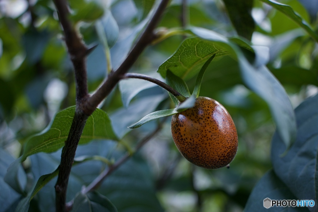 481F6FEB-B802-4A1E-9D03-8B0BAAC66931