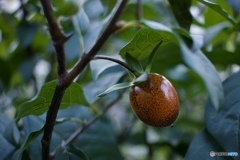 481F6FEB-B802-4A1E-9D03-8B0BAAC66931