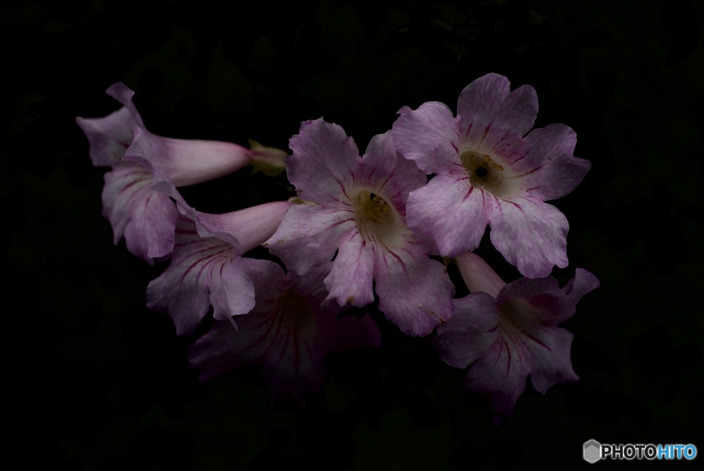 D26D5D2A-4BF0-4E89-B550-688585632B8D