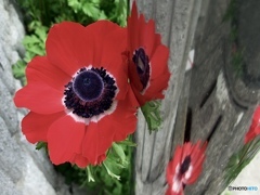 81A44C3A-EE57-49BE-8CF1-18D8722687CB