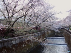 34A192C4-2980-4439-9A34-577D397B313B