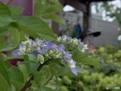 68670814-A903-46DB-8591-4E07D17D2E9B