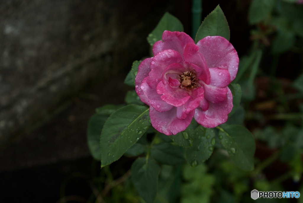 E4F6E370-37F8-40A2-B4A7-D85EEF3EE321