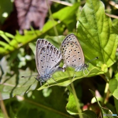 7AAE8818-1A80-440D-B121-C379261D2B3E