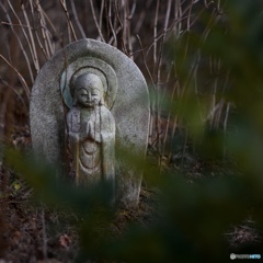 717EAD07-FDBF-47F6-A4F9-4516FF94FDC9