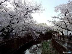 FDE98982-33CA-475F-84B6-2E035B89C95C