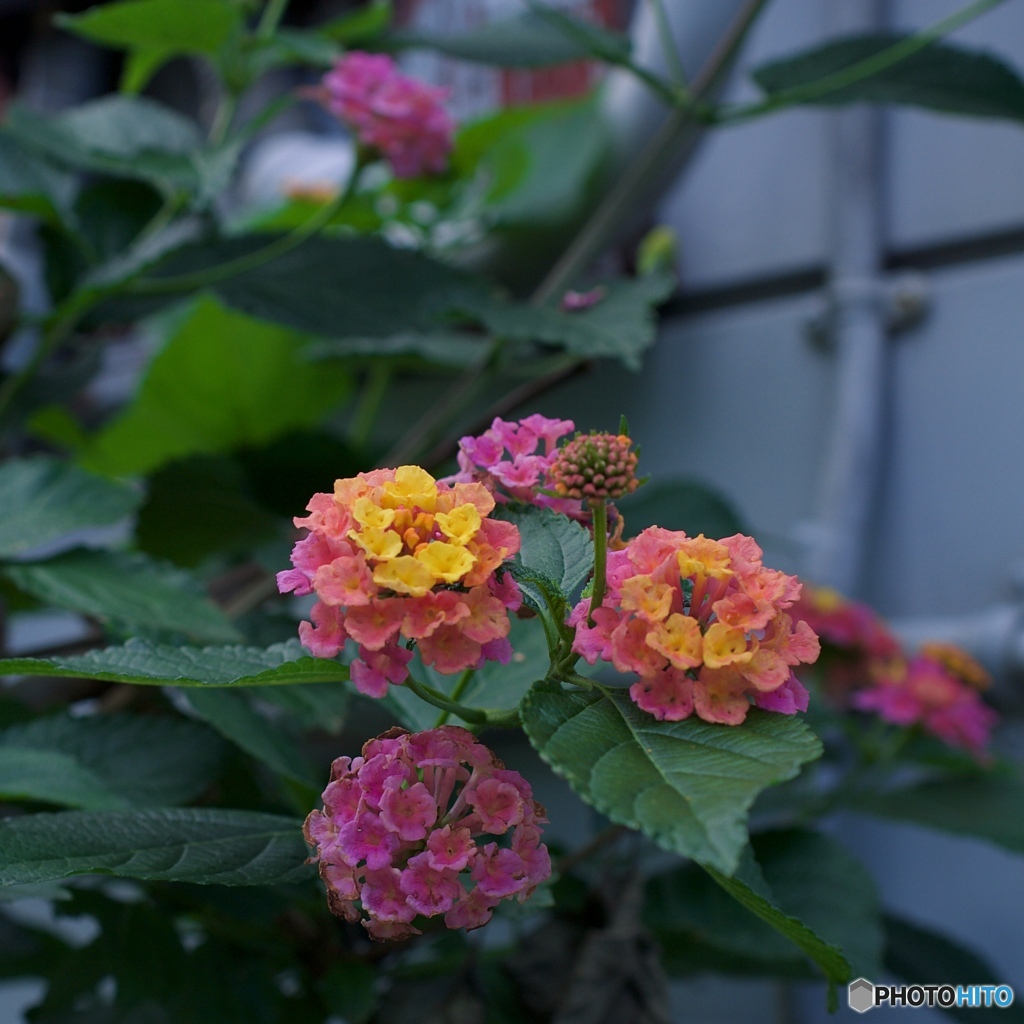 B02B0146-FF1D-4A9E-8679-727DB17E471A
