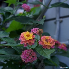 B02B0146-FF1D-4A9E-8679-727DB17E471A