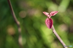 66FD8346-98E5-4E88-8BDA-C349414BC590