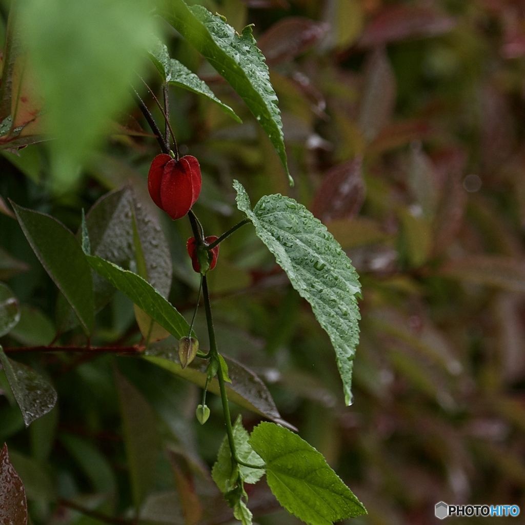 8B3765F1-1031-4B86-A9C7-80A5DBCA69BC