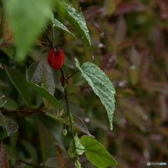 8B3765F1-1031-4B86-A9C7-80A5DBCA69BC