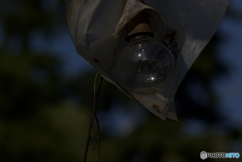 AEA22587-5A30-483A-A2D4-6CA46C5E60D9