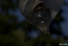 AEA22587-5A30-483A-A2D4-6CA46C5E60D9