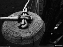 DD427C80-F03D-445E-A75C-11CECE9B2287