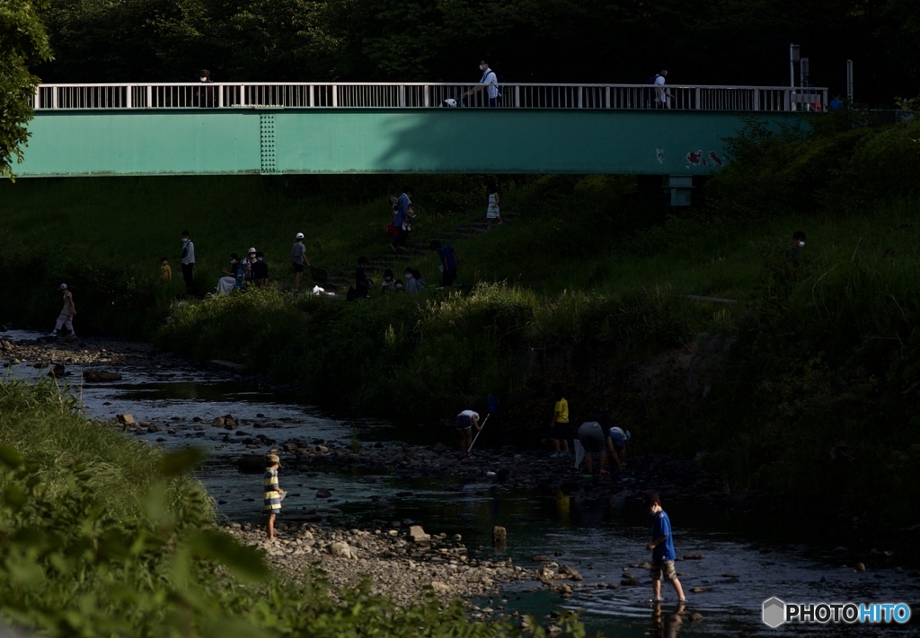 F42624AB-4DFA-4851-9296-04EF138693BA