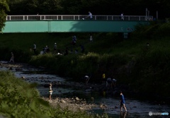 F42624AB-4DFA-4851-9296-04EF138693BA