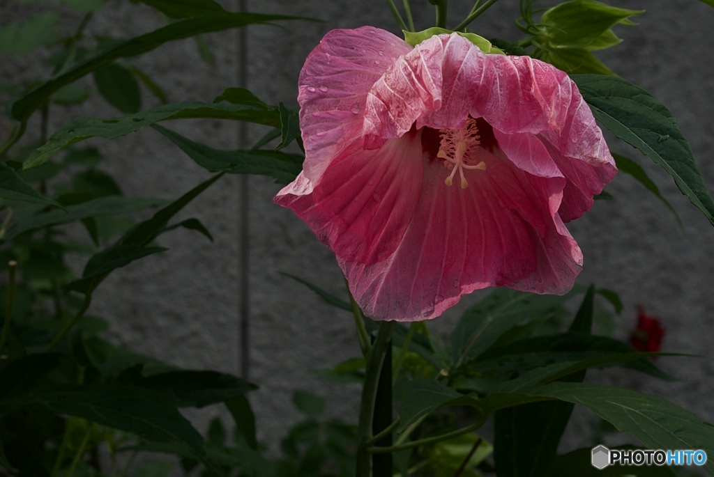 76D623F1-2B45-4535-B05D-82AC22ED0E0A