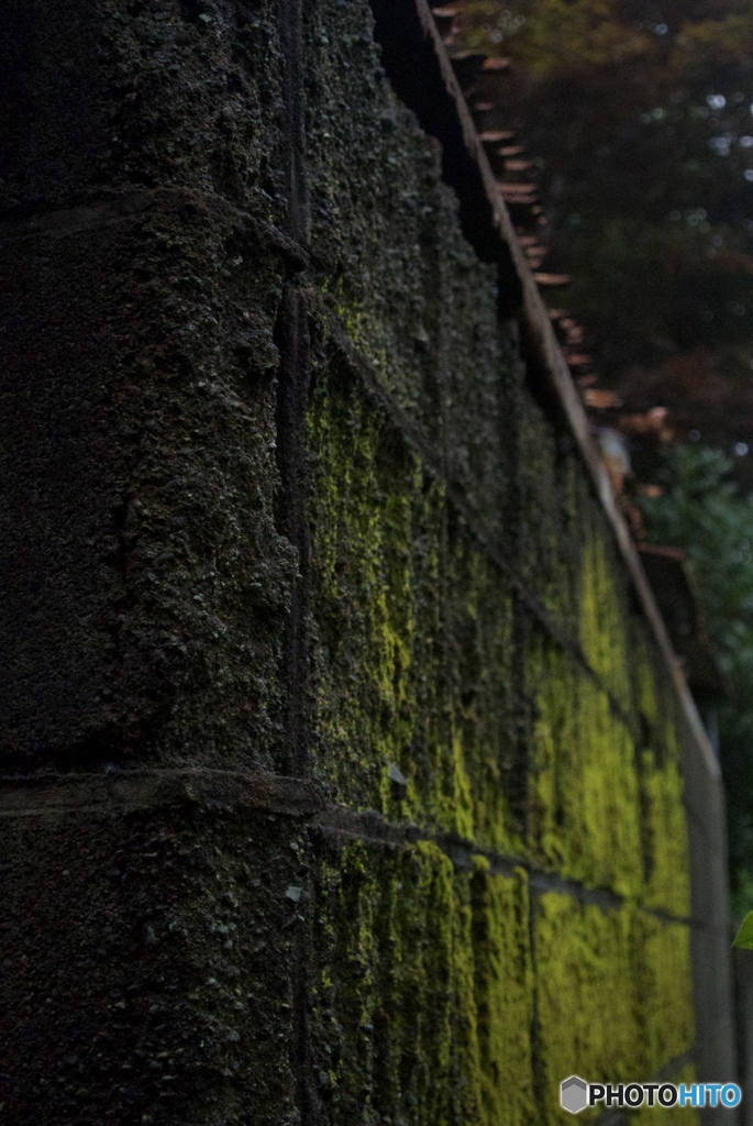 2AB4D625-B243-4CA8-83FB-B243FD9E7D37