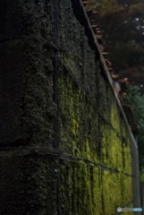 2AB4D625-B243-4CA8-83FB-B243FD9E7D37