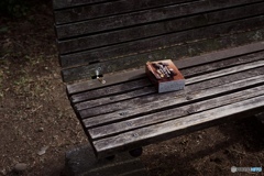 F456C363-2A99-41DF-91D1-AE68839F5848