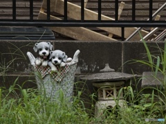 9164CB32-41F7-414D-9E27-4B1662B72BC6