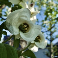 2A95831B-1453-4ADE-96A5-0FF4D69DF76E