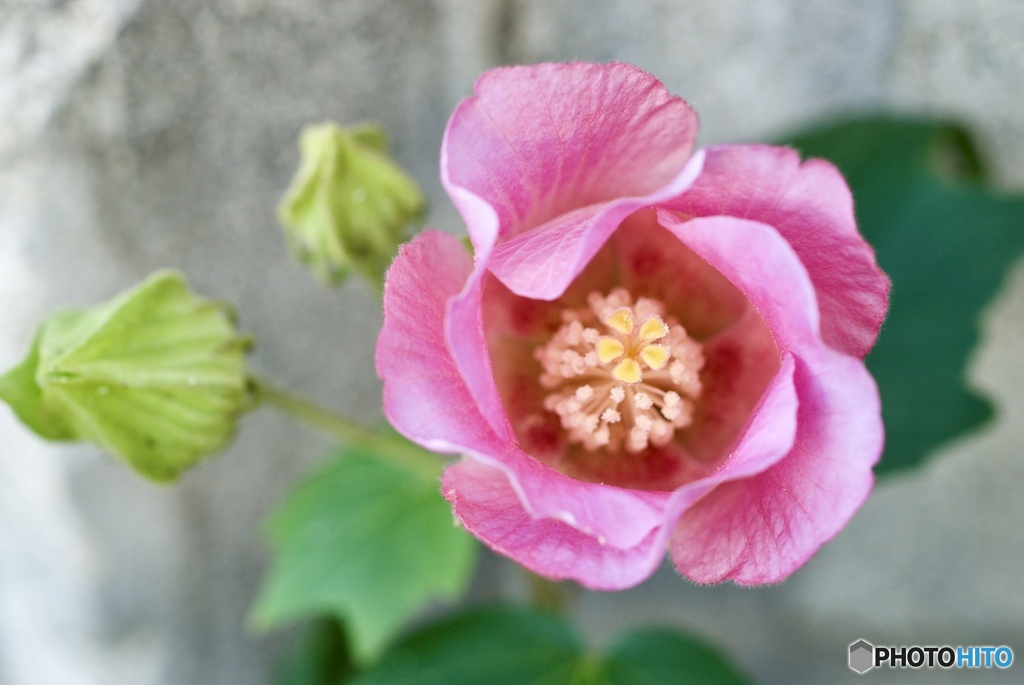 209E9A76-3EFA-4A99-8F49-FE1DA441DAA9