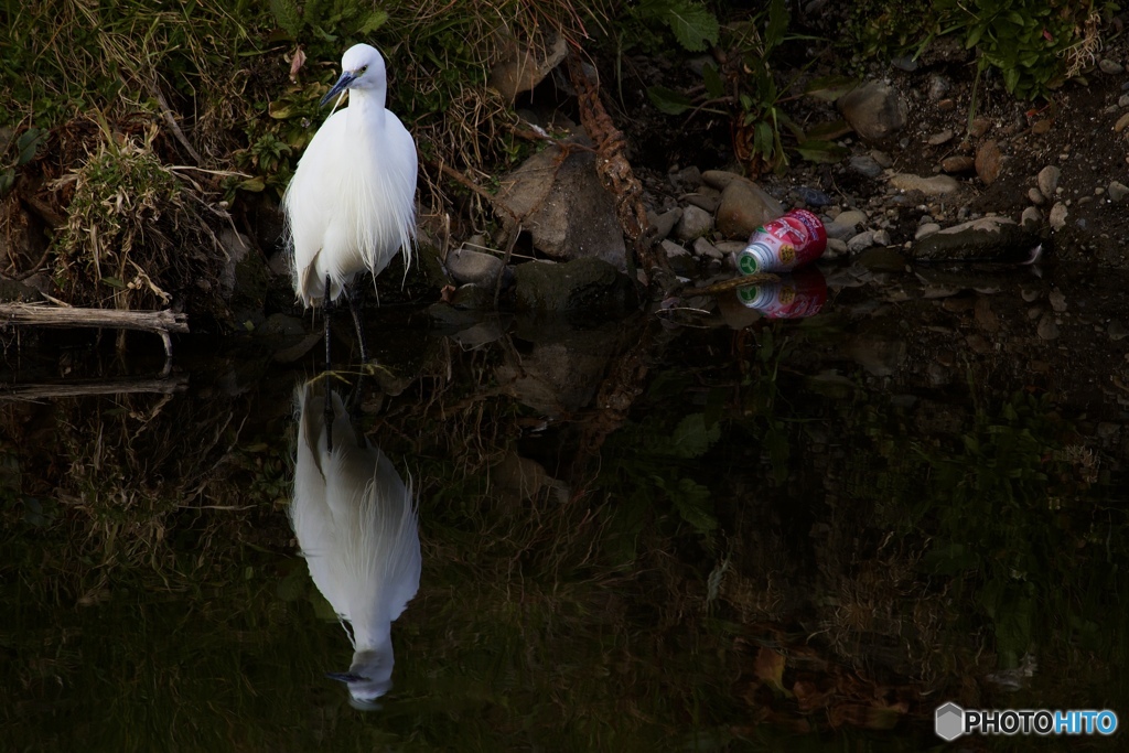 Don’t throw away empty cans.