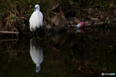 Don’t throw away empty cans.